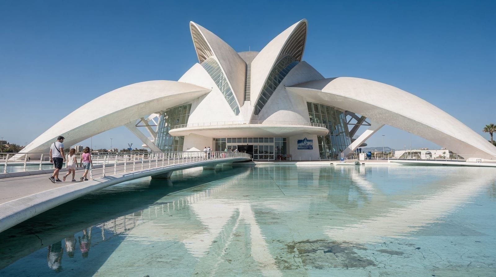 Is the Oceanogràfic worth it? An honest assessment — Europe's largest aquarium costs around €32 per adult. Here's what you get, what 