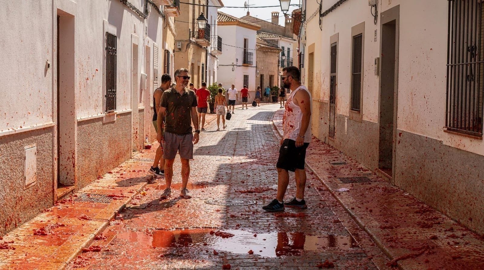 La Tomatina 2026 guide — dates, tickets, and what actually happens — Complete La Tomatina 2026 guide. The real date (last Wednesday of August), how t