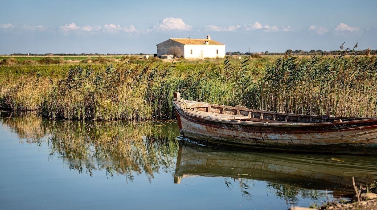 Day trips — Albufera, Xàtiva, Peñíscola, Requena, Bocairent and beyond