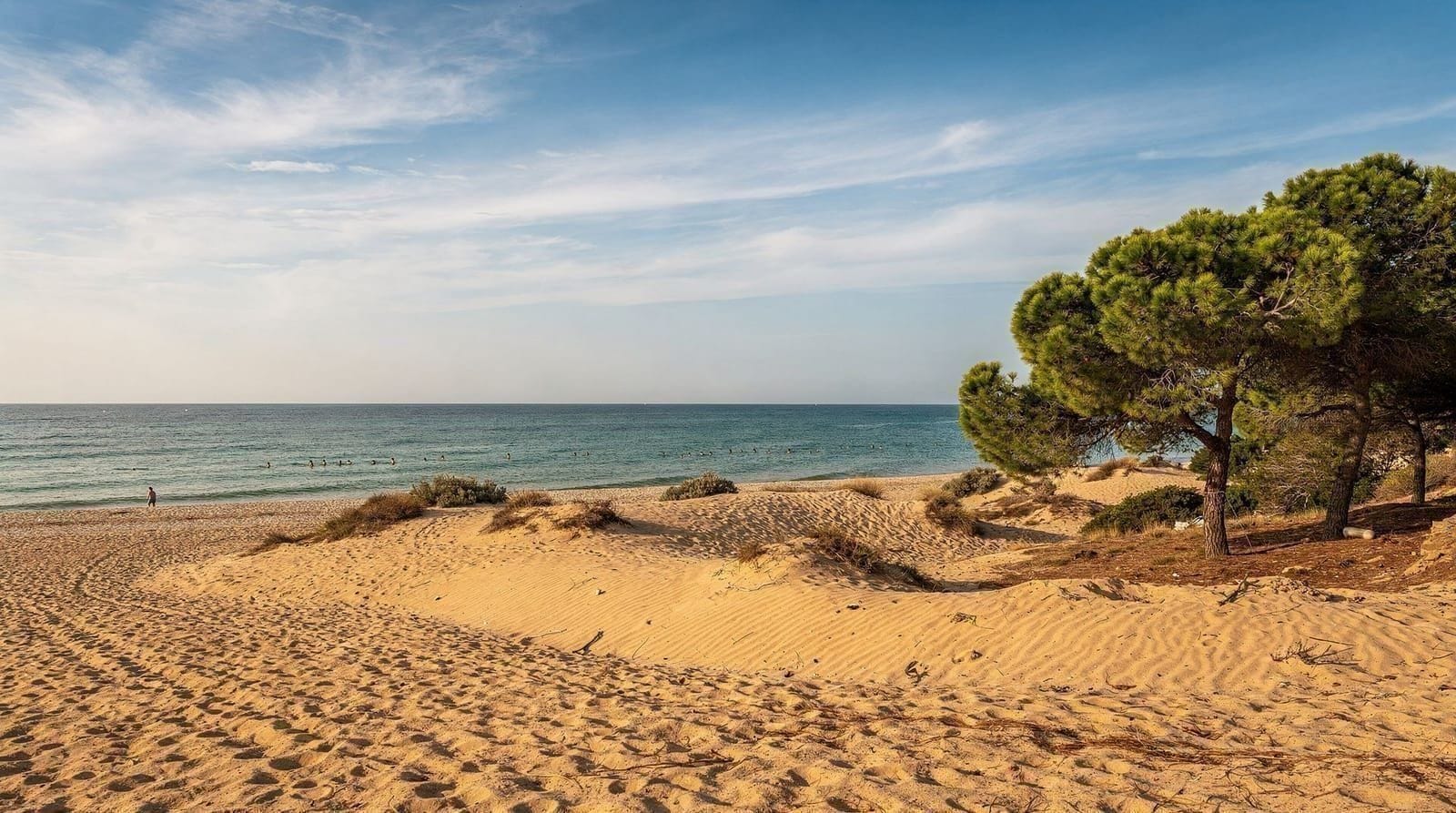 Beaches — Malvarrosa, Patacona, El Saler and the best coastal spots near Valencia