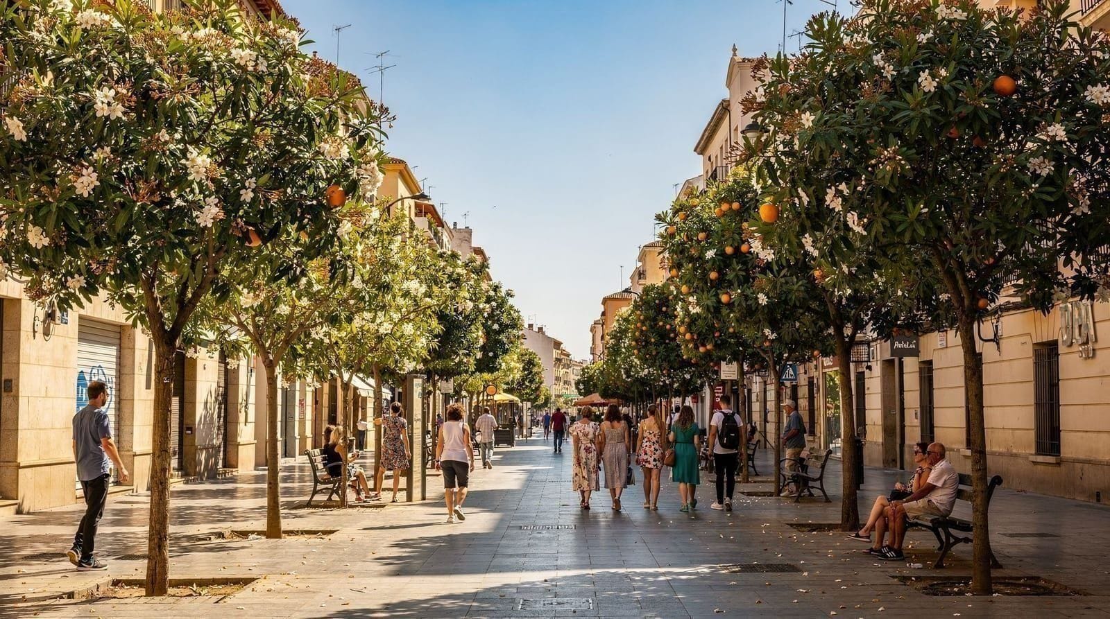 Best time to visit Valencia — month by month guide — When to visit Valencia for good weather, fewer crowds, and fair prices. Honest s