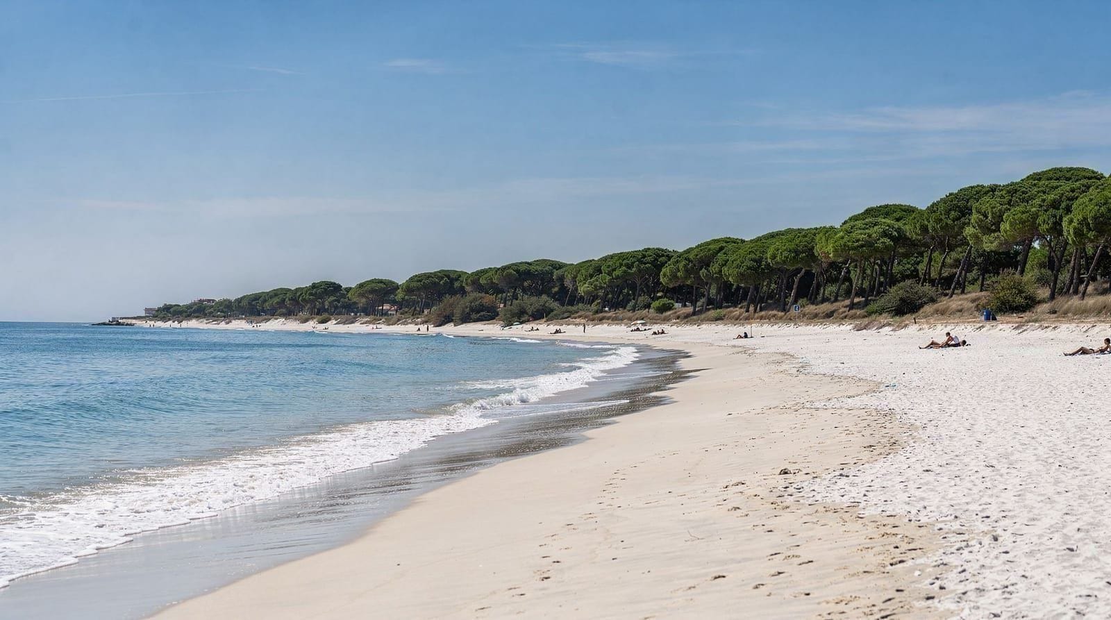 El Saler beach: the natural alternative south of Valencia — El Saler beach in the Albufera Natural Park: how to get there by bus or car, pin