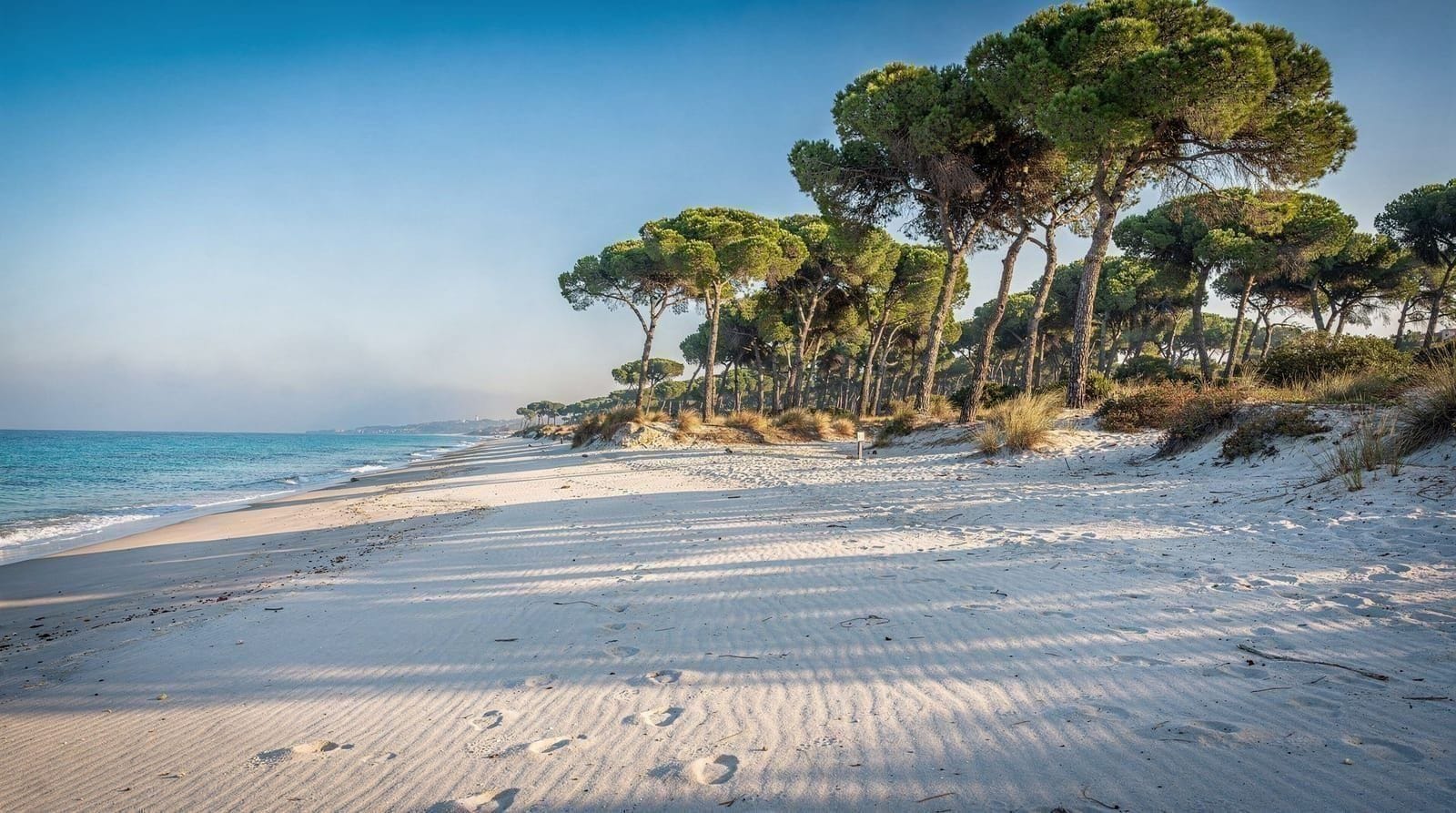 La Devesa beach and forest: the unspoilt Albufera coast — La Devesa beach inside the Albufera Natural Park: pine forest walks, access, cal