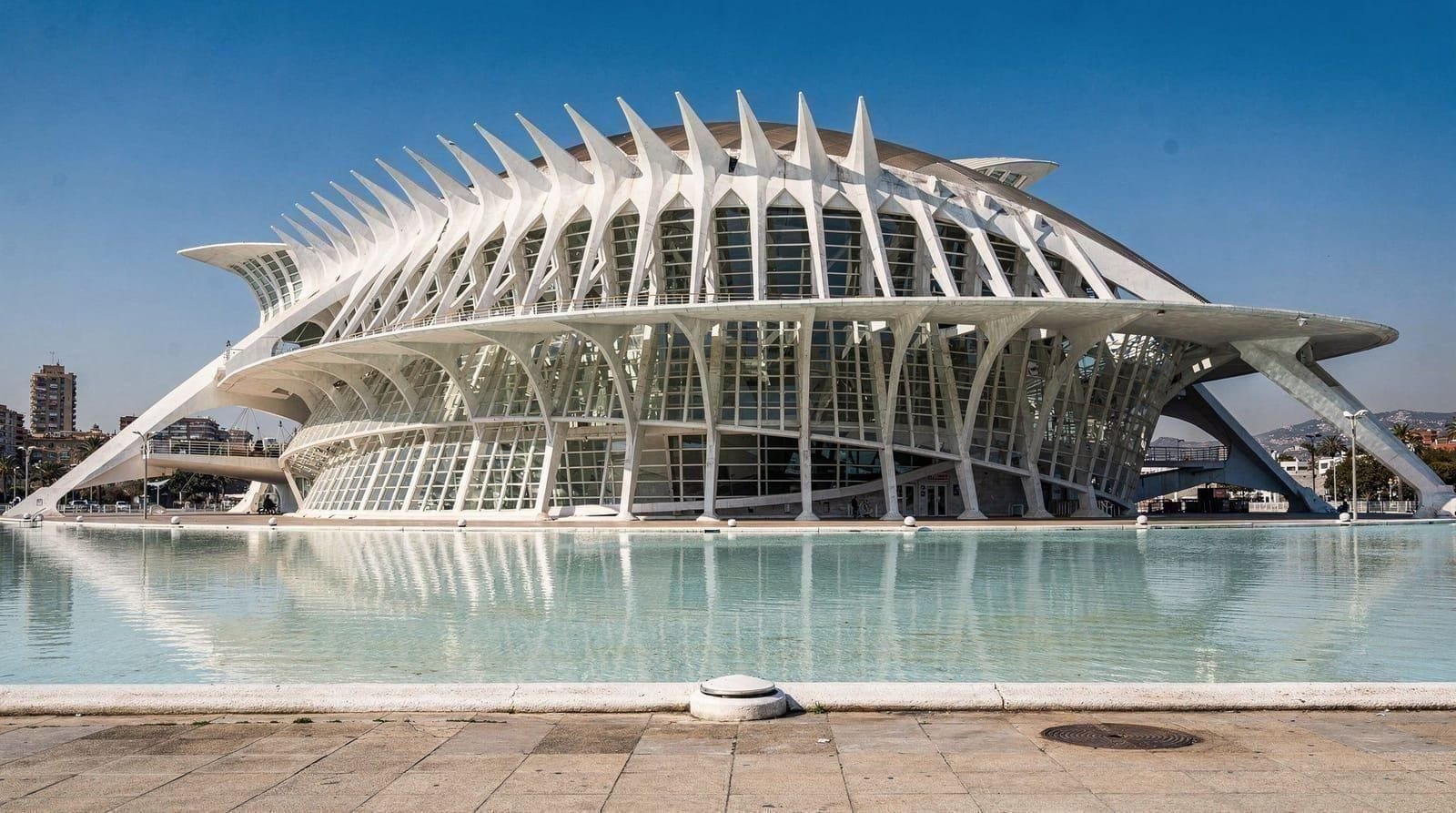 Príncipe Felipe Science Museum Valencia: visitor guide