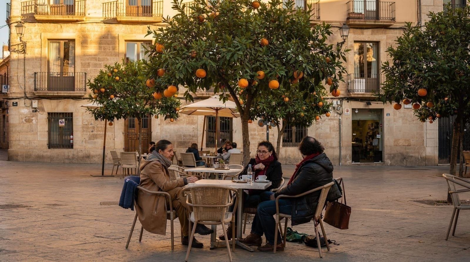 Valencia in winter: mild, uncrowded, and underrated — What to expect in Valencia in December, January and February. Temperatures, Chri