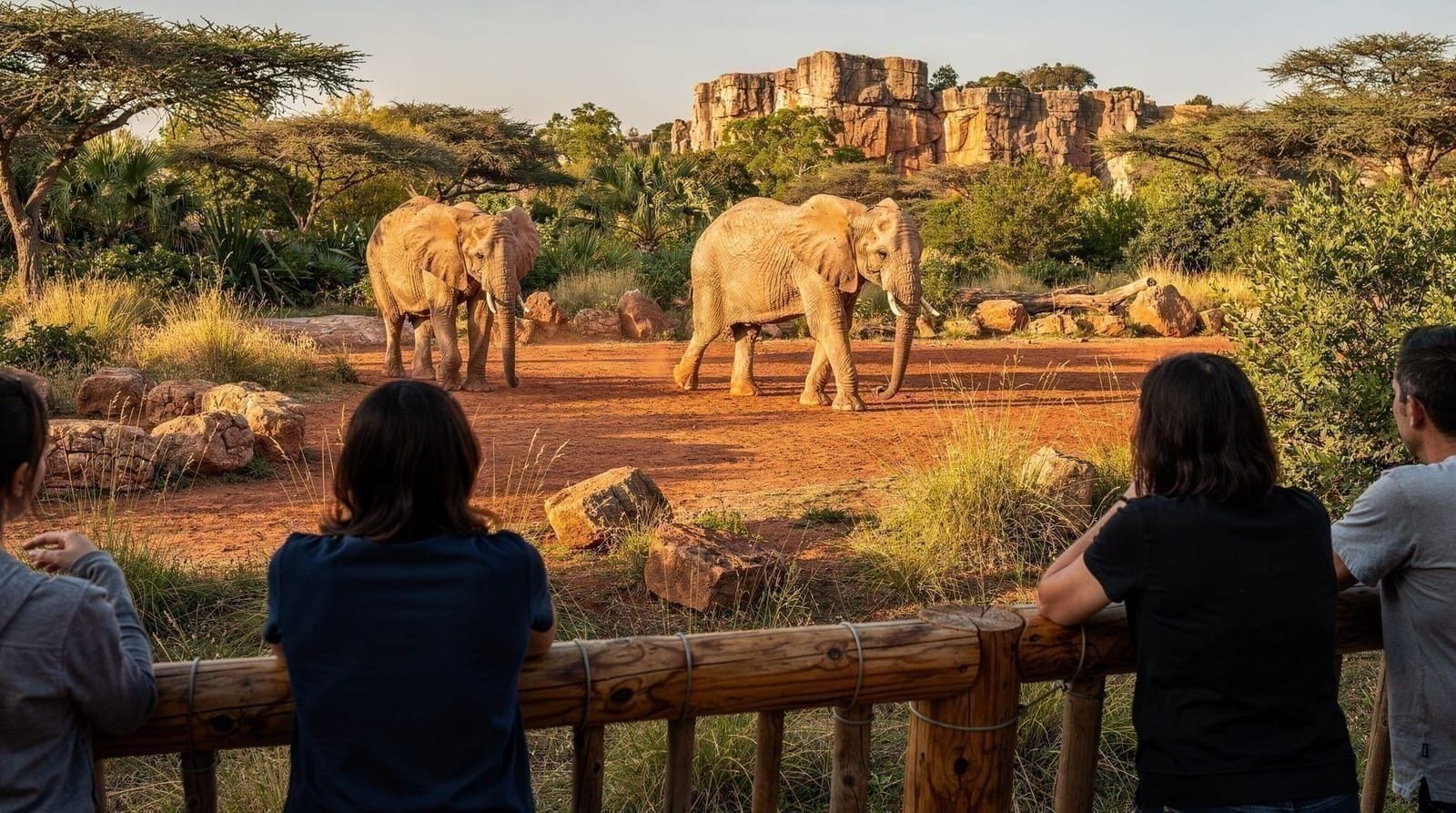 Bioparc Valencia ticket review: worth it in 2026? — Honest Bioparc Valencia review: what's inside, real prices, how long to spend, a